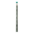  Watanabe ... бамбук 5.5×750mm 5шт.@ упаковка WT-2057346 возвращенный товар вид другой B