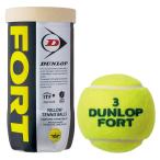 ダンロップ 硬式テニスボール DUNLOP FORT(ダンロップ フォート) 2球入りボトル 返品種別A