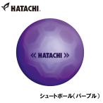 ハタチ グラウンドゴルフ シュートボール(パープル) 返品種別A