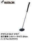  - tachi ground Golf Club ( правый удар человек для * серебряный * размер :84cm) возвращенный товар вид другой A