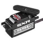 サンワ (再生産)PGS-CL II (107A54514B)ラジコン用 返品種別B