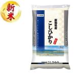 ショッピング新潟 新潟県産こしひかり 5kg 伊丹米 返品種別B