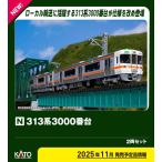 カトー (N) 10-1928 313系3000番台 2両セット 返品種別B