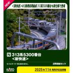 カトー (N) 10-1921 313系5300番台＜新快速＞ 2両増結セット 返品種別B