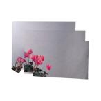 信栄物産 ステンレス平面ミラー 0.4×54×86mm(テレカサイズ) 枠なしミラー ST-10 返品種別B