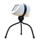 ムサシ ソーラー充電式LEDセンサーライト(1W×1灯) musahi RITEX どこでもセンサーライトソーラー ASL-093 返品種別A