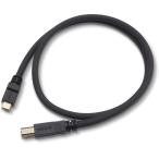  saec аудио комплектация USB кабель (1.2m)(C) модель =(B) модель SAEC SUS-380Mk2 SUS380MK2(C-B)1.2M возвращенный товар вид другой A
