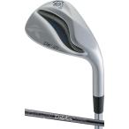 キャスコ ドルフィンウェッジ DW-123 ロフト角60° フレックス:WEDGE 返品種別A