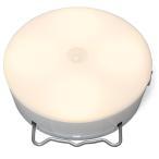  Iris o-yama на батарейках LED сенсор свет ( лампа цвет ) мульти- модель IRIS BSL40ML-WV2 возвращенный товар вид другой A
