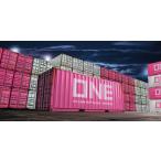  Fujimi 1/ 24 машина NEXT серии No.1101 20ft dry контейнер модель ONE( пурпурный )( машина NEXT-1101) пластиковая модель возвращенный товар вид другой B