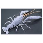 フジミ 自由研究シリーズNo.24 EX-2 いきもの編 アメリカザリガニ(ホワイト)(自由研究24 EX-2)プラモデル 返品種別B