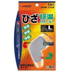 快温サポーターひざLサイズ ライトグレー 新生 返品種別A