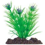 アクアティックプランツ SS−5 ニッソー 返品種別A