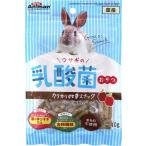 ウサギの乳酸菌おやつ カリカリ牧草スナック 40g ドギーマンハヤシ 返品種別B