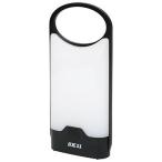 SK11 LED тонкий фонарь ( черный )100 люмен Fujiwara промышленность SLT-100DB-BK возвращенный товар вид другой B