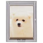  Fuji цвет L цвет рама L размер ( затонированный ) FUJICOLOR L цвет рама затонированный возвращенный товар вид другой A