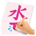 パイロット スイスイおえかき for Study 何回も書ける! お習字入門水書きセット 返品種別B