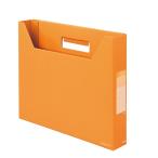  плюс tejavu цвет z box файл A4 ширина тонкий (ne-bru orange ) FL-022BF(87614) возвращенный товар вид другой A