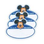  Pioneer Disney бирка Mickey DI250 DI01 возвращенный товар вид другой B
