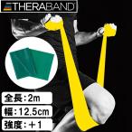 D&M Sera частота блистер упаковка ( зеленый ) THERABAND интенсивность : heavy Revell :+1 TBB-3 возвращенный товар вид другой A