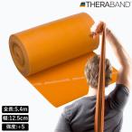 D&M Sera частота 5.4m( Gold )( интенсивность Revell :+5) THERBAND DM-TB7 возвращенный товар вид другой A