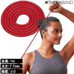 D&M Sera камера four вход ( красный )( интенсивность Revell :0) THERBAND начинающий предназначенный DM-TTE12 возвращенный товар вид другой A