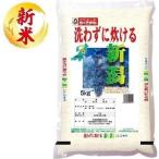 ショッピング無洗米 無洗米 新潟県産こしひかり 5kg おくさま印(幸南食糧) 返品種別B