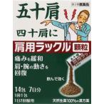 その他肩こり、腰痛、筋肉痛薬