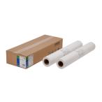 エプソン 普通紙ロール(薄手・841mm×50m・2本入り) EPPP64A0 返品種別A