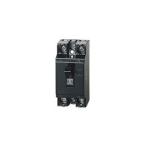 パナソニック 安全ブレーカー 100V 20A Panasonic BS-1112P 返品種別A