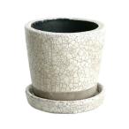  Dulton (DULTON) цвет серый zdo pot M( слоновая кость ) 3 номер горшок стандарт CH13-G476IV 45-347617 возвращенный товар вид другой B
