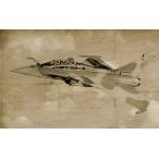 プラッツ 1/ 72 フランス空軍戦闘機 ラファールB 複座型(IT90092)プラモデル 返品種別B