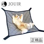 shi... кошка. гамак голубой 