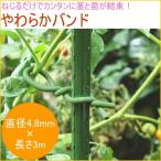  мягкость частота наружный диаметр 4.8mm×3m.. поле двор для бытового использования фигурная скобка культивирование цветок овощи предотвращение фиксация пассажирский стебель рассада единство простой 