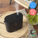 パーソナルUVスチーム式加湿器 ブラック SSH-2100UVBK 送料無料 加湿器 家電 スチーム式 UVスチーム 1年保証 ブラック SANKA サンカ