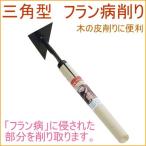  три прямоугольник franc болезнь стружка 09320 садоводство садоводство двор . дерево починка яблоко яблоко franc . насекомое болезнь .