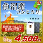 【ギフト用・魚沼産コシヒカリ 5kg】包装紙：花菱(紺) のし対応 贈答箱入り[母の日 父の日 お祝い 御礼 プレゼント]