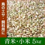 【青米・小米・くず米 5kg(特別栽培米・減農薬米)】鳥のエサ、飼料用などに
