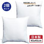 圧縮してない ヌードクッション 45x45cm 2個セット 日本製 クッション 中身 背あてクッション 背当てクッション セアテクッション 背あて 45x45 45 45