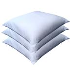 座布団カバー 55 59 ３枚組 白無地 ホ