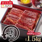 【夏の大感謝祭クーポン利用で50%OFF】ジョイフルのうなぎの蒲焼(たれ付き)15食入り