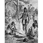 Amazon Natives C1891 Amazon. neitib. obi дождь .. кулинария делать кемпинг fire - другой рыба . лента . стрела фон . скульптура Victor
