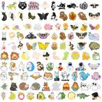 Enamel Pins for Backpacks, Cute Enamel Pins Backs Aesthetic Bulk Set Random