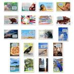 FUN FACTSポストカードセット 20枚 英語版ポストカードのバラエティパック。トリビアや楽しい知識がテーマです。米国製。