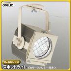 フレネルレンズスポットライト（カラーフィルター付き） アイボリー OE031031 オーデリック