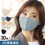 ＤＡＩＬＹ ＦＩＴ ＭＡＳＫ 立体 ふつうサイズ 30枚入 RK-F30S アイリスオーヤマ