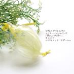 Yahoo! Yahoo!ショッピング(ヤフー ショッピング)ガラス製品　インテリア　イースター　エッグ　羽　雑貨　置物　　　エッグ・ウイング レモンイエロー