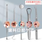 歯科ツールセット 歯科口腔ケア 歯石取り 歯石とり 器具 自宅用 歯清潔ツール 口腔ケア器具 虫歯 口腔清潔 両頭 5個セット ステンレス鋼