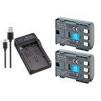 USB充電器 と バッテリー2個セット DC