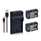 USB充電器 と バッテリー2個セット DC